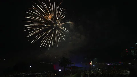 Fireworks in Niagara Falls Vidéo 218223478
