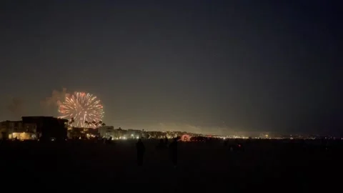 Fireworks at night 8 Stock Footage 236261377