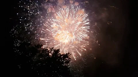 Fireworks in the night behind the trees Stock Footage 77007397