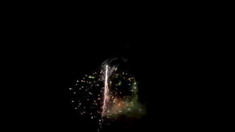 Fireworks at night. Celebration Stock Footage 313274114