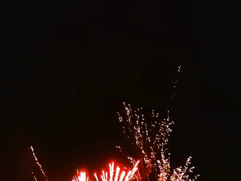 Fireworks Night Stock Footage 80381001