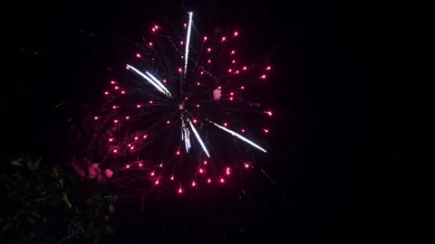 Fireworks at night Stock Footage 196984467