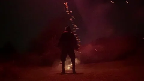 Fireworks at night Vidéo 233334797