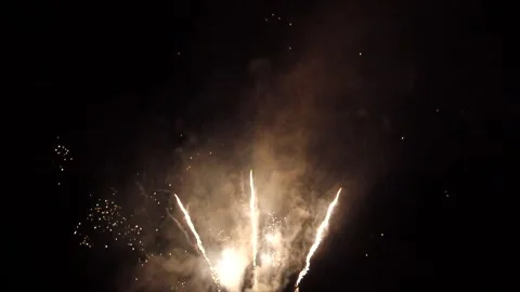 Fireworks in the Night Stock Footage 270228969