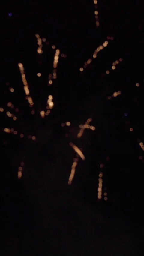 Fireworks at night Stock Footage 317279006