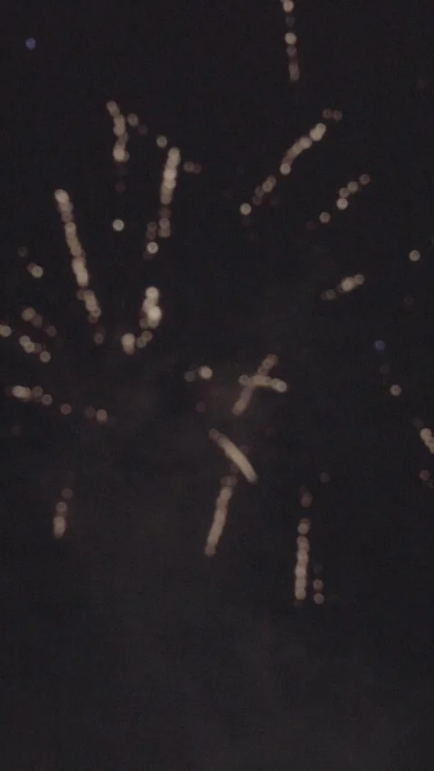 Fireworks at night Stock Footage 317279031
