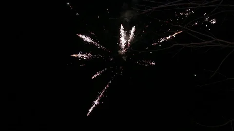 Fireworks on the night sky background Stockbeeldmateriaal 123894159