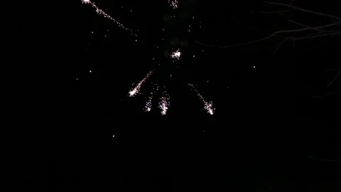 Fireworks on the night sky background Stockbeeldmateriaal 123894232