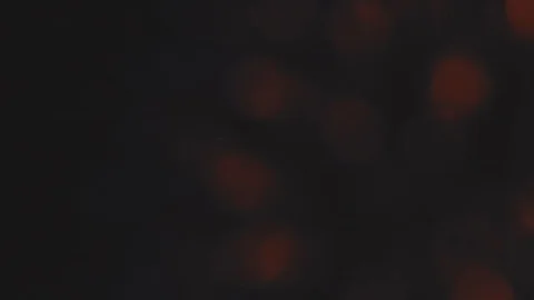 Fireworks in the Night Sky Stock Footage 77210384