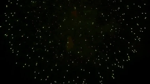 The fireworks in the night sky Vidéo 80509285
