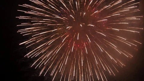 The fireworks in the night sky Vidéo 80509335