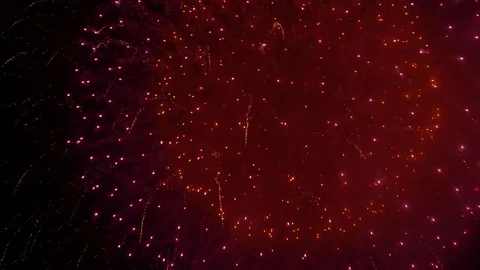 The fireworks in the night sky Stock-Footage 80509406