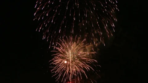 The fireworks in the night sky Stock-Footage 81082411