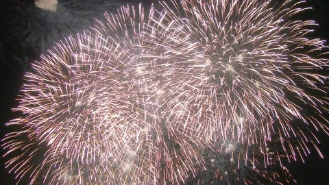 The fireworks in the night sky Stock Footage 81082763