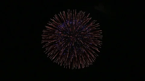 The fireworks in the night sky Stock Footage 81083887