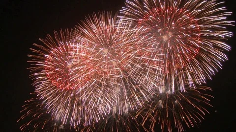 The fireworks in the night sky Vidéo 81085321