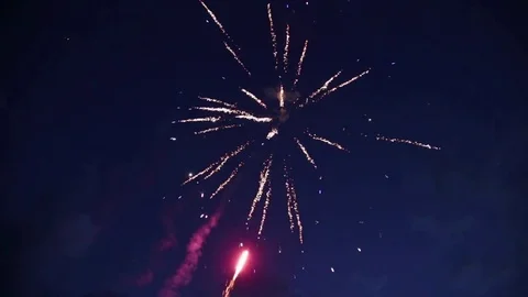Fireworks in the night sky Stock Footage 81319856