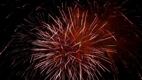 The fireworks in the night sky Stock-Footage 81325642