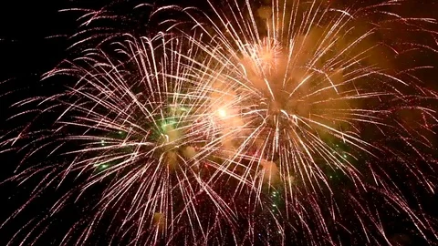 The fireworks in the night sky Vidéo 81325645
