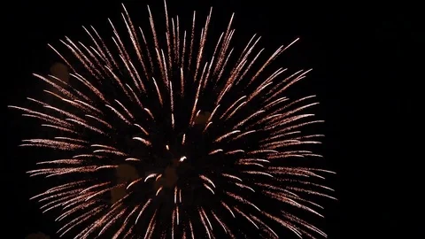 The fireworks in the night sky Stock Footage 82445815