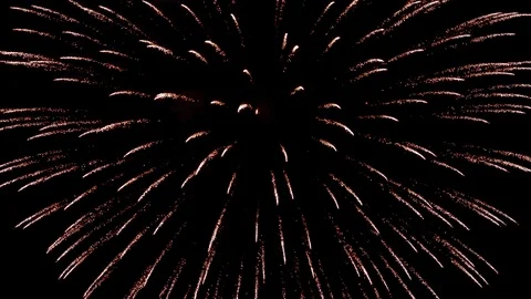 The fireworks in the night sky Stock Footage 82445820