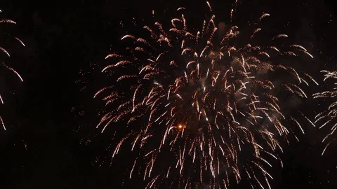 The fireworks in the night sky Stock Footage 82733287