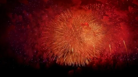 The fireworks in the night sky Vidéo 82733289