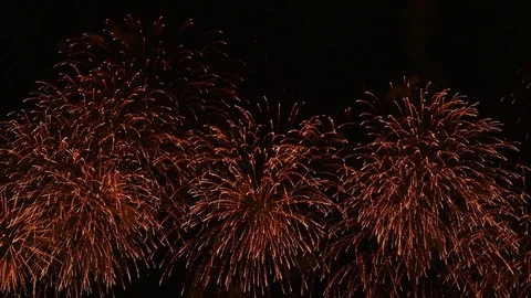 The fireworks in the night sky Stock Footage 82733290