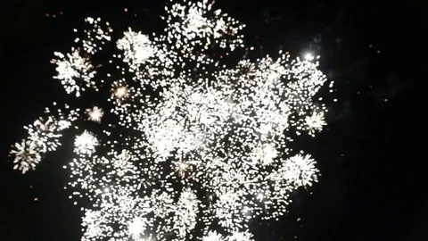 Fireworks  in the night sky Stock Footage 82977329