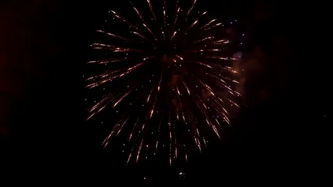 The fireworks in the night sky Stock Footage 83240032
