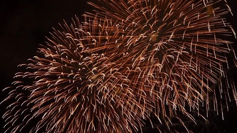 The fireworks in the night sky Stock Footage 83240043