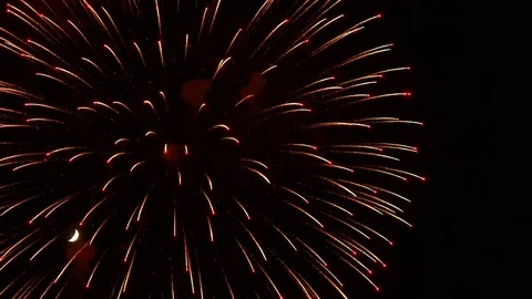 The fireworks in the night sky Stock-Footage 83240887