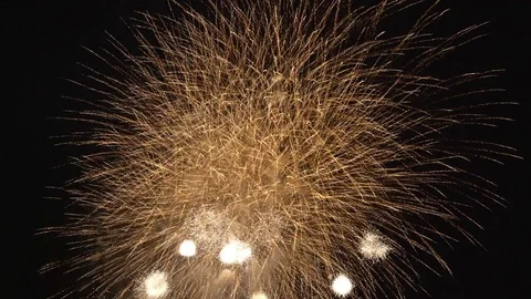 The fireworks in the night sky Stock Footage 84843424