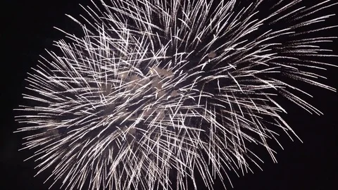 The fireworks in the night sky Stock Footage 84843460