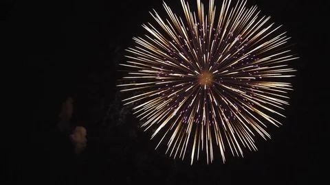 The fireworks in the night sky Stock-Footage 84843493