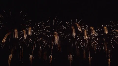 The fireworks in the night sky Stock-Footage 84843720