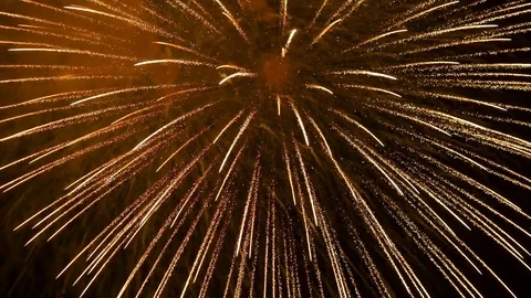 The fireworks in the night sky Stock Footage 84893770