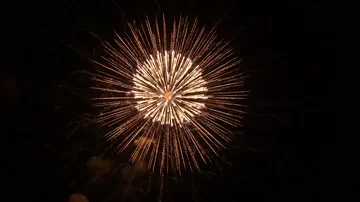 The fireworks in the night sky Vidéo 85679148