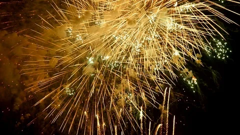 The fireworks in the night sky Stock Footage 86058346