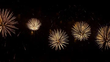 The fireworks in the night sky Stock Footage 86058382