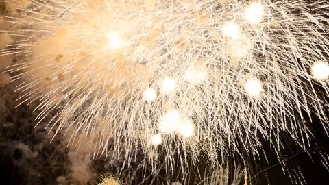 The fireworks in the night sky Stock Footage 86195802