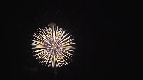 The fireworks in the night sky Stock Footage 86299497