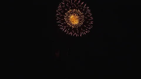 The fireworks in the night sky Stock Footage 86299594