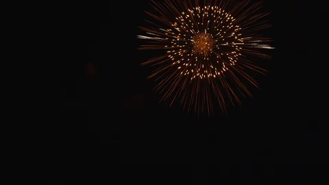 The fireworks in the night sky Stock Footage 86299752