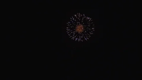 The fireworks in the night sky Stock Footage 86299764
