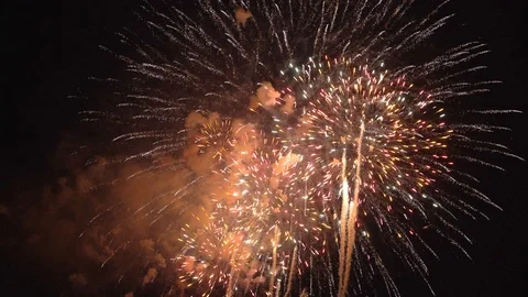 The fireworks in the night sky Stock Footage 86299774