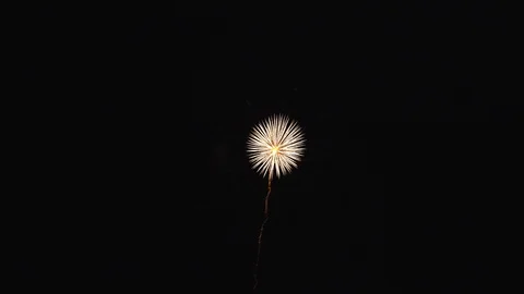 The fireworks in the night sky Vídeos de archivo 86299806