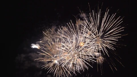 The fireworks in the night sky Stock Footage 86299809