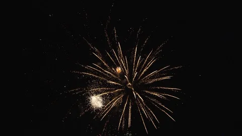 The fireworks in the night sky Stock Footage 86299871