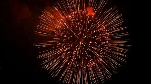 The fireworks in the night sky Stock Footage 88088153